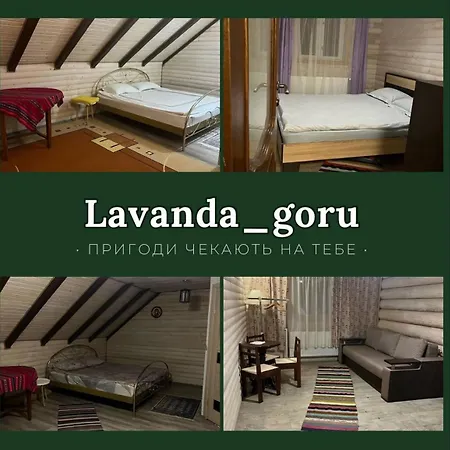 Tatil Evi будинок в горах, відпочинок, котедж, чан, сауна, буковель *