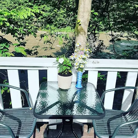 будинок в горах, відпочинок, котедж, чан, сауна, буковель Holiday home *