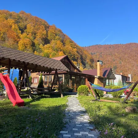 будинок в горах, відпочинок, котедж, чан, сауна, буковель Holiday home